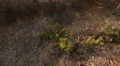 Driving Plates Multi Angle Forest Set#05 CAM4 Right 60fps HD Footage