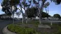 Driving Plates Multi Angle Harbor Set#04 CAM3 3/4 L Marina Del Rey 60fps HD Footage