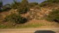 Driving Plates Multi Angle Mulholland Highway 02 CAM3 Left Beverly Hills 60fps HD Footage