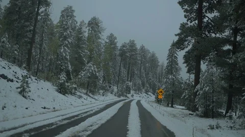 Driving POV down a snowy road through a forest Stock Footage 97075889