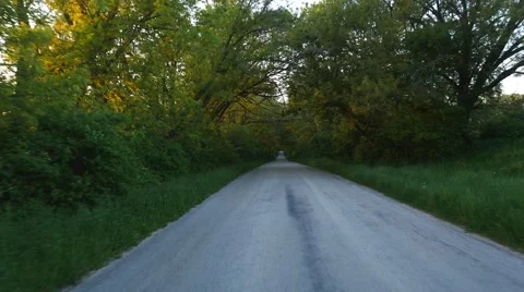 Driving POV down a tree covered road Stock Footage 63649634