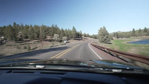 Driving POV on a pine lined highway near Prineville Oregon Stock Footage 346794822