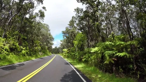 Driving POV rain forest landscape Big Island Hawaii HD Stock Footage 80973326
