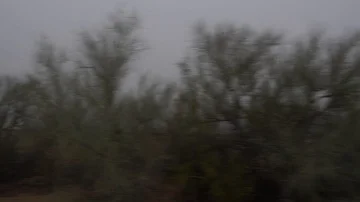 Driving POV through car side window in fog Stock Footage 85991377