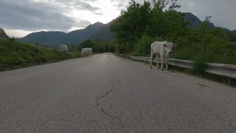 Driving POV through Scenic Mountain Roads in Scapoli, Italy Stockbeeldmateriaal 334237129