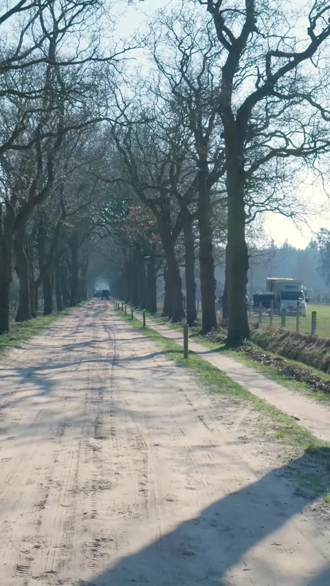 Driving pov through a tree-lined sandy country road 库存影片 334422418