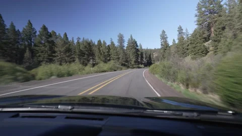 Driving POV on a winding road through ponderosa pine forest in Oregon Stock Footage 346794856