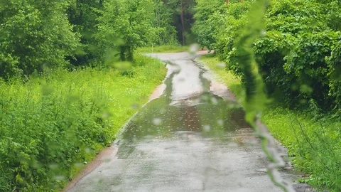 Driving in the rain view from inside car with rain drops on car windshield. Rain Stock Footage 118536917