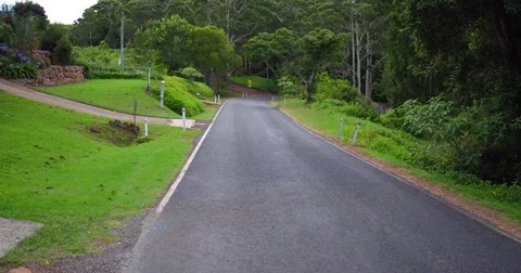 Driving on rainforest road driver POV Stock Footage 72608653