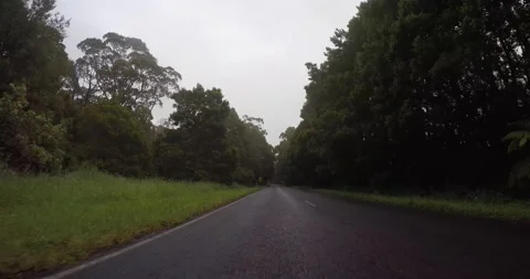 Driving On Rainforest Road, Driver POV Clip0019 스톡 동영상 228719640