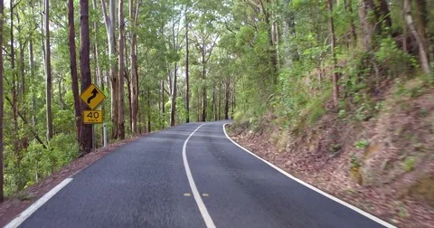 Driving on rainforest road drivers POV Stock Footage 80954669