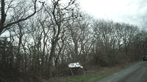 Driving up to Reddish Knob Summit in Augusta, VA and Pendleton, WV Video stock 112575982