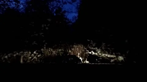 Driving off road after sundown Stock Footage 172561016