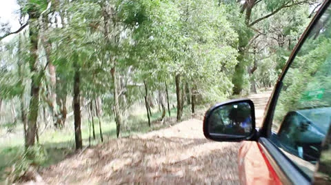 Driving on the road along forest with mirror Video stock 23712092