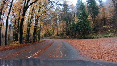Driving on a road in autumn Stock Footage 97464801