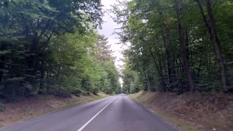 Driving on a road between beautiful green forest, slow motion from the car. Stock-Footage 225687872