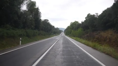 Driving on the road between trees in the forest Stock Footage 297792424