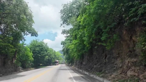 Driving Road Cut Through Dense Forested Hillside Stock Footage 341373042