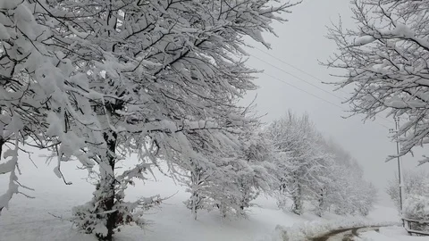 Driving on a road during a snowfall. Driver point of view. POV Stock Footage 120587677