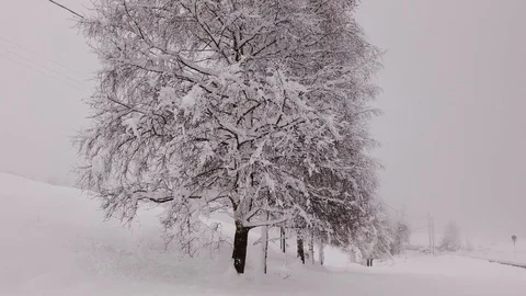 Driving on a road during a snowfall. Driver point of view. POV 動画素材 120587680
