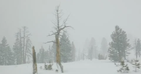 Driving on road with falling snow Stock Footage 140892038