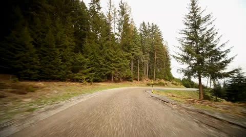 Driving on Road in Forest Stock Footage 24582228