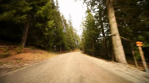 Driving on Road in Forest Stock Footage 24582275