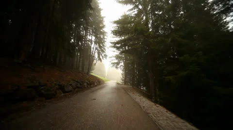 Driving on Road in Forest Stock Footage 24582347