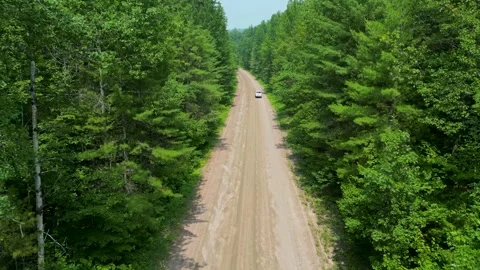 Driving on the Road in the forest Stock Footage 266297826