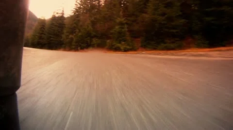 Driving on road lined with firs Stock Footage 14808192