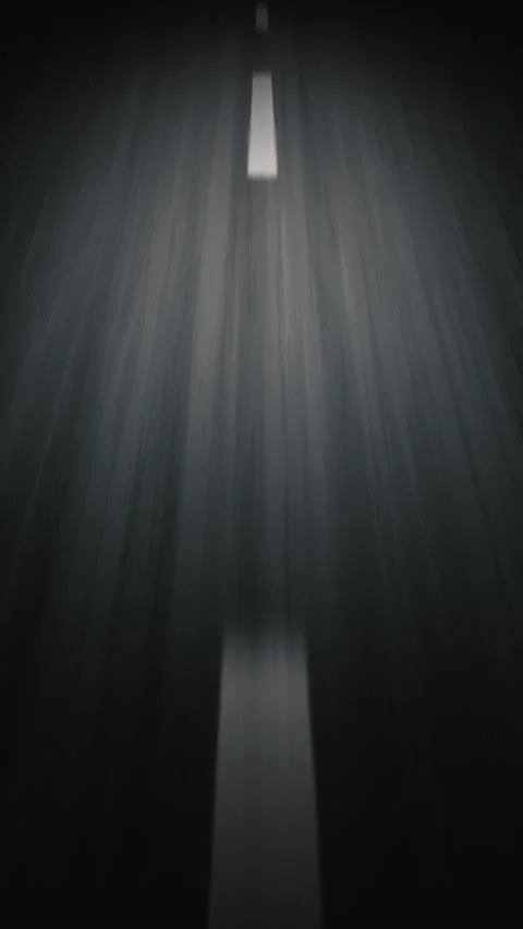 Driving Road In The Night Speed Vertical Loop Stock Footage 337121182