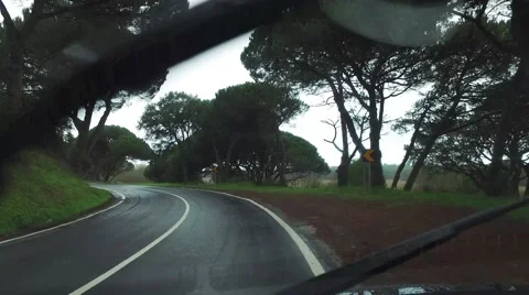 Driving on a Road in Rainy Forest Stock Footage 59708078