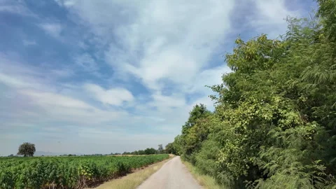 Driving on the road in rural. Video stock 284355322