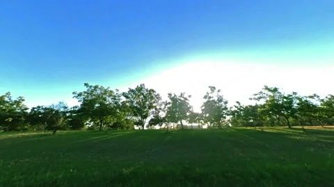 Driving on a Road, Sun Shining through trees Stock Footage 173245008