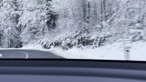 Driving on a road surrounded by a snowy forest Stock Footage 225676028