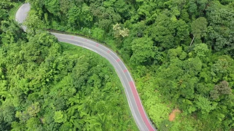 Driving on road through forest Video stock 134025426
