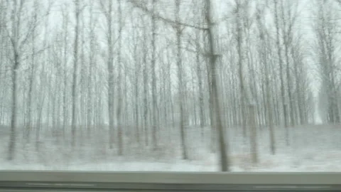 Driving on the road through forest landscape, side view pov footage Video stock 169650505