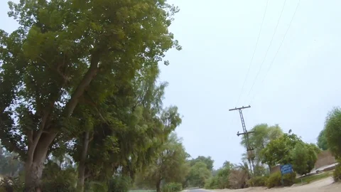Driving on a road with trees on both sides Stock Footage 100667118