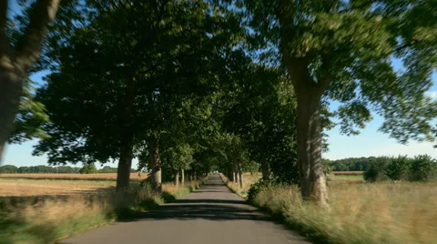 Driving on a road with trees. Sunlight and Shadows. Europe, Germany. POV Stock Footage 66470915