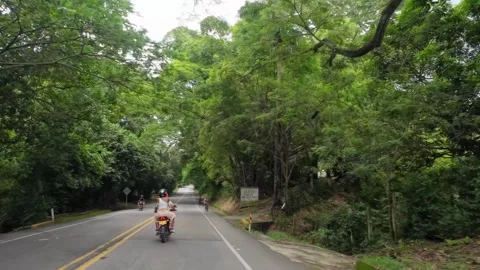 Driving Road Under Shady Canopy of Green Trees Stock Footage 341373182