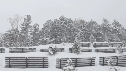 Driving by roadside avalanche barriers covered in powder snow, Hokkaido Stock Footage 268662528