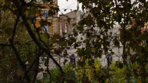 Driving in Rome while passing trees Vidéo 267487187