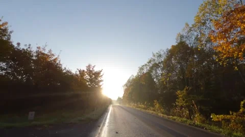 Driving round a bend into bright sun on autumn morning Stock Footage 230001672