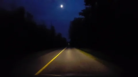 Driving Rural Backroad Surrounded By Forest Trees at Night. Stock Footage 115671201