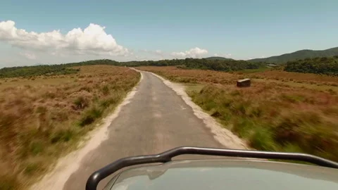 Driving on a Rural Road Through Grass Plains Stock Footage 248794054