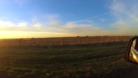 Driving Rural Road View of Side Mirror in evening time. Driver`s point of vie Stock Footage 138718804