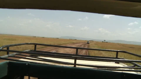Driving in safari 2 Video stock 33695731
