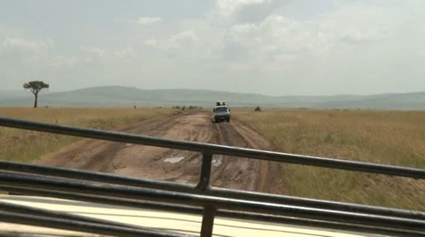 Driving in safari Video stock 33695708
