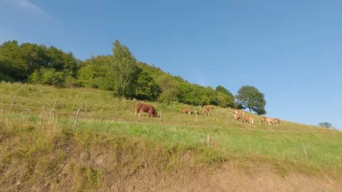 Driving Scenic Mountain Road in Lessinia Alps Italy - POV Loop Stock Footage 340199537