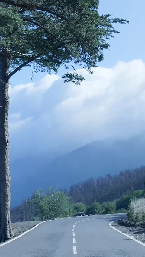 Driving on a scenic mountain road through clouds Video stock 329865341